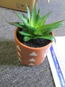 lot of 4 fake suculants ...