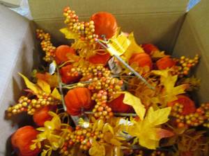 box of velvet pumpkin piks ...