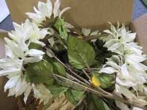 box of white sunflower bushes and w...