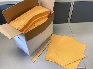 lot 3-405 image: Mailing Envelopes