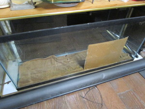 lot 42 image: Aquarium