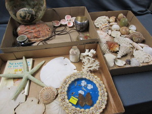 lot 425 image: Shells, Starfish, Sand Dollars