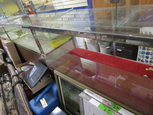 lot 441 image: Showcases