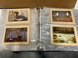 lot 44 image: Hundreds of Nature Photos