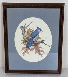 lot 99 image: John W Taylor Framed Blue Jay Artwork