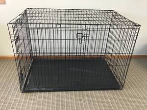 Dog Lot