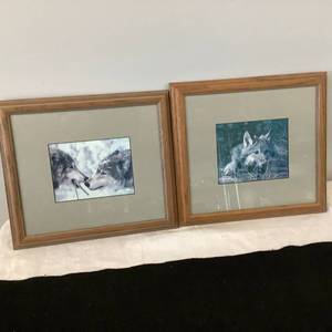 Wolves Pictures