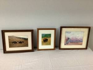 Set of 3 Buffalo Pictures