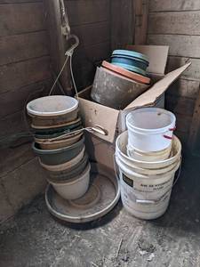 lot 147 image: Large Lot of Plastic Planters, Transplant Pots and Plastic Buckets
