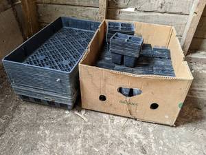 lot 148 image: Lot of 300 4-Pack Plant Starters w 20 Trays