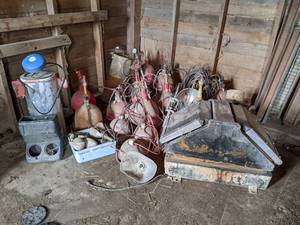 lot 155 image: Large Lot of Low-Pressure Poultry Waterers, Heat Lamps and More - About (11) Watering Stations