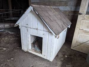 lot 366 image: Insulated Dog House - Measures 47 x 35 x 40