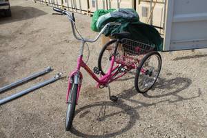 lot 45 image: Miami Sun 20 Single-speed Tricycle Bike with 16 Pink Frame