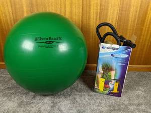 Thera-Band Exercise Ball and Hand Pump