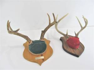 2 Sets of Mounted Whitetail Deer Antlers