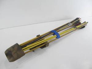 Set of Arrows wHolder