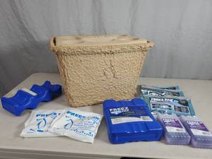 lot 132 image: New Igloo Cooler with New Ice Packs