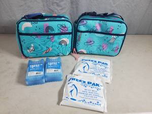 lot 167 image: 2 New Cute Lunchboxes with New Freeze Packs