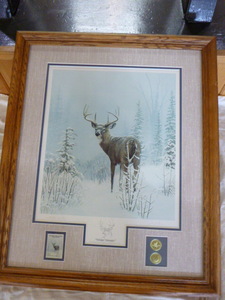 Winter Wonder Framed Print by Leo Stans