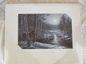 Moon Shadows - White Tailed Deer Print by James A. Meger
