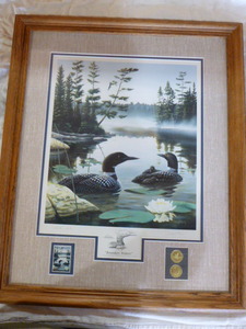Boundary Waters Framed Print by Leo Stans