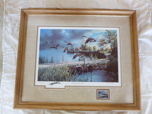 Lifting to the North Framed Print by Ken Zylla