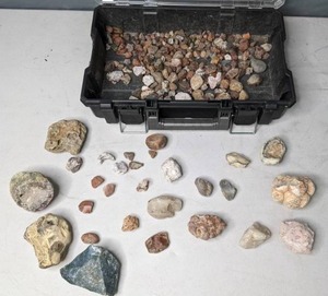 lot 158 image: Large Rock Collection in a Husky Tool Case (Approx 15 lbs.) - N