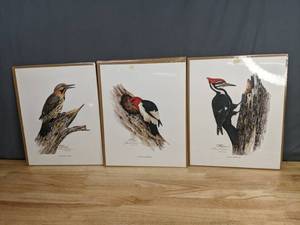 lot 246 image: Set of 3 Signed and Numbered Sherm Pehrson Bird Prints - B