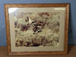 lot 273 image: FramedMatted Photo of Ducks by Phil Emerson, 1979 - Q