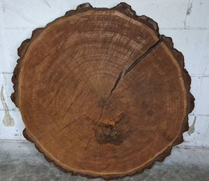 lot 389 image: Live Edge Wood Slab - V