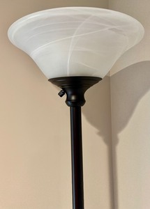 Fantastic Floor Lamp