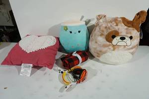 lot 170 image: Assorted Pillows plus Blanket and Headphones