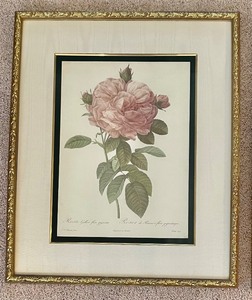 lot 60 image: Bombay Company Reproduction Prints by Pierre-Joseph Redoute