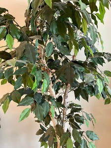 lot 53 image: Fabulous Faux Tree