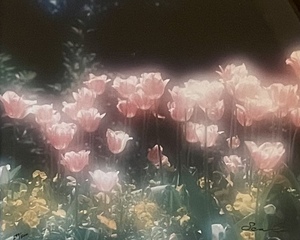 lot 11 image: Numbered Print Monet Spring