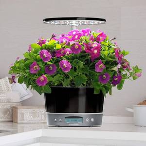 lot 43 image: AeroGarden Harvest Elite 360 - Indoor Garden with LED Grow Light, Platinum Stainless