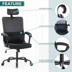 lot 101 image: Ergonomic Mesh High Back Office Chair, Mesh