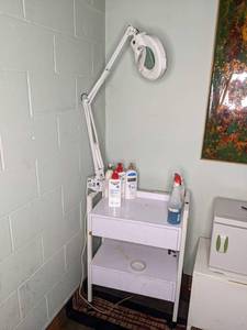 lot 76 image: Magnifying Light and Spa Cart on Wheels