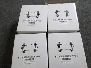 42 packs of human skeleton string ...