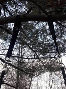 Fun ROYAL OAK Waterproof Saucer Tree Swing Chair 700lb Capacity in Great Condition Still Hanging on Tree