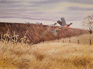 lot 61 image: Idyllic Fine Art Print by Rhynard Klingbell- Male and Female Ring-Necked Pheasants