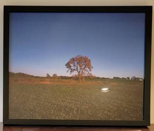 lot 146 image: Lone Oak Framed Photograph