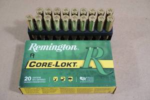19 Remington .300 Win Mag 150 Gr Core-Lokt PSP Ammo