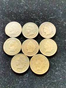 8 Indian Head Pennies