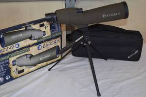 Sportsman 289