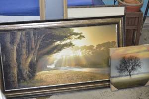 Large Tree pictures