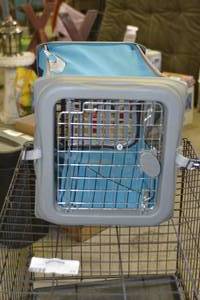 Collapsible pet carrier Small dog or cat