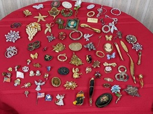 Assortment of Broaches and Pins Jewelry