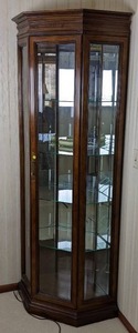 Floor Standing 5-Sided Lighted Corner Curio Cabinet
