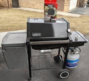 Weber Outdoor Gas Grill
